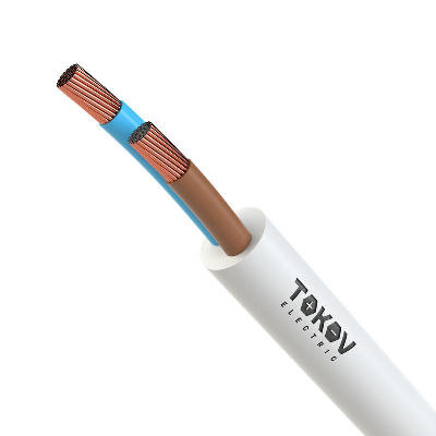 Провод TOKOV ELECTRIC ПВСнг(А)-LS 2х1 380В Б (уп.100м) 69164