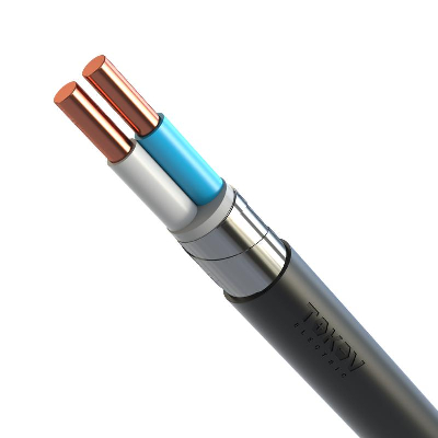 Кабель TOKOV ELECTRIC ВБШвнг(А)-LS 2х6 ОК (N) 0.66кВ (м) УТ000031973