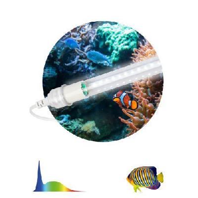 Светильник светодиодный FITO-15W-Ra90-Т8-AQUA 15Вт для аквариума (патроны в комплекте; IP20 лампа/IP65 патроны) полный спектр Эра Б0057418